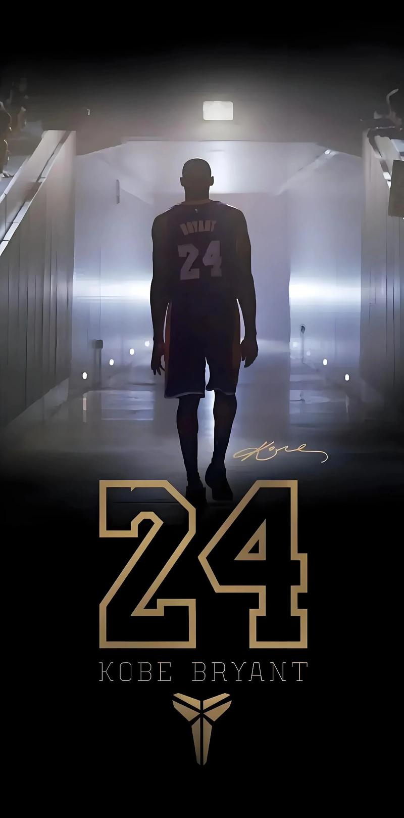 版本理解 版本理解